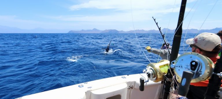 How to Prepare for a Deep-Sea Fishing Trip