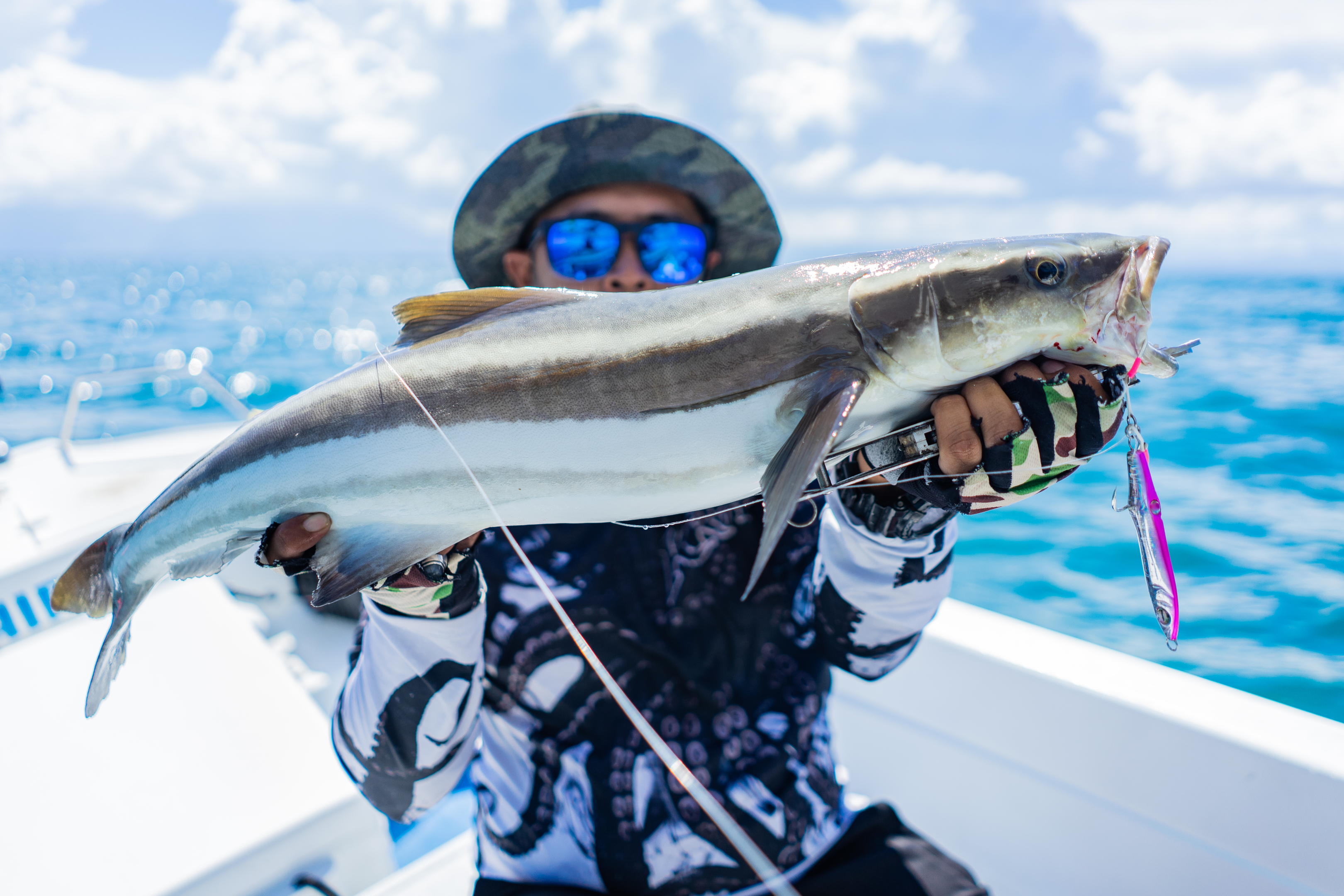 Angler catching cobia