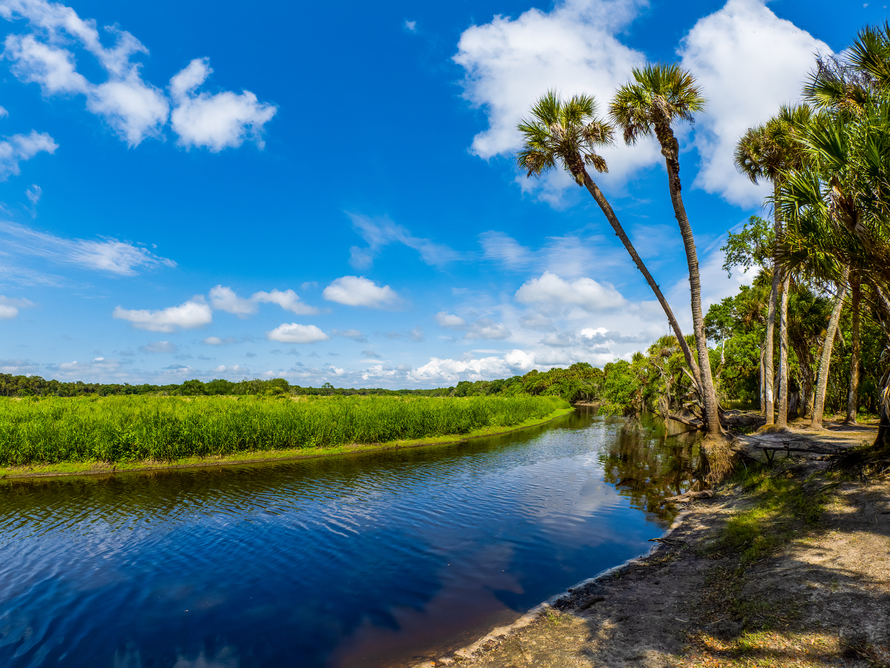 Mayakka River, Fishermans Loop