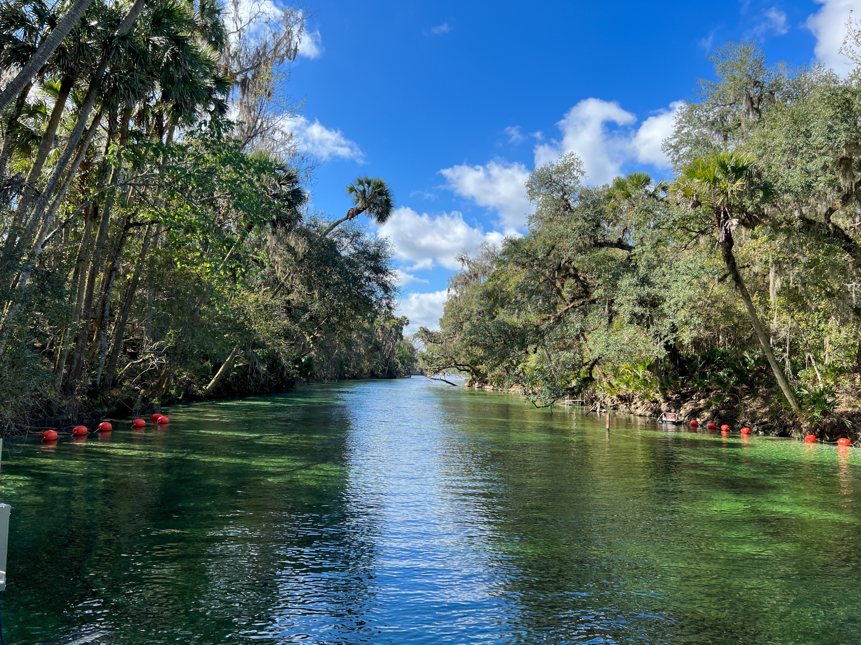 Blue Springs State Park