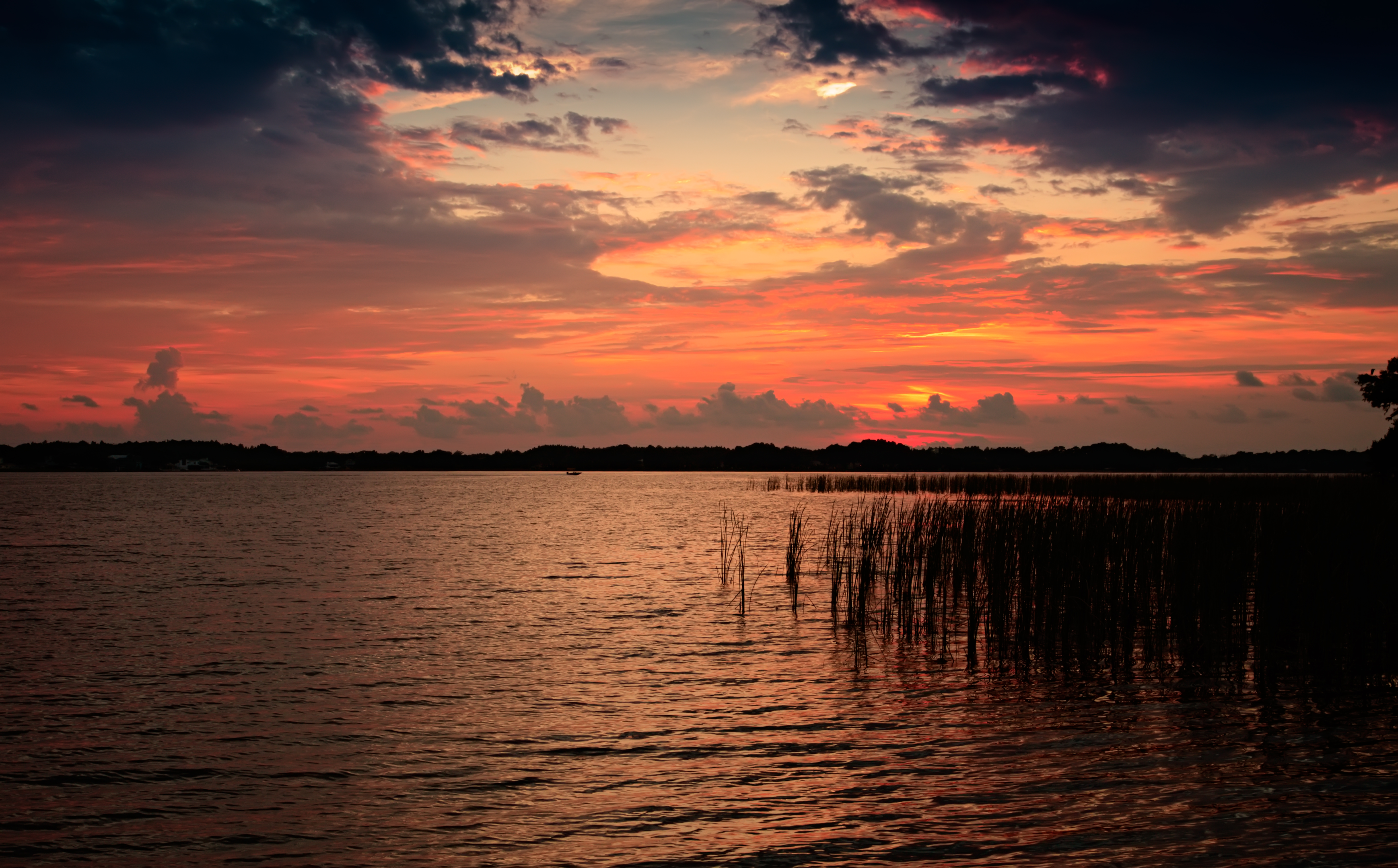 Engaging young anglers at Lake Tarpon