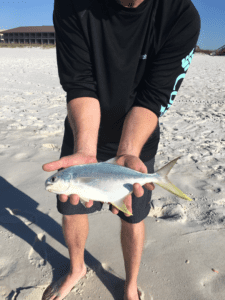 Surf fishing for pompano on a sandy beach