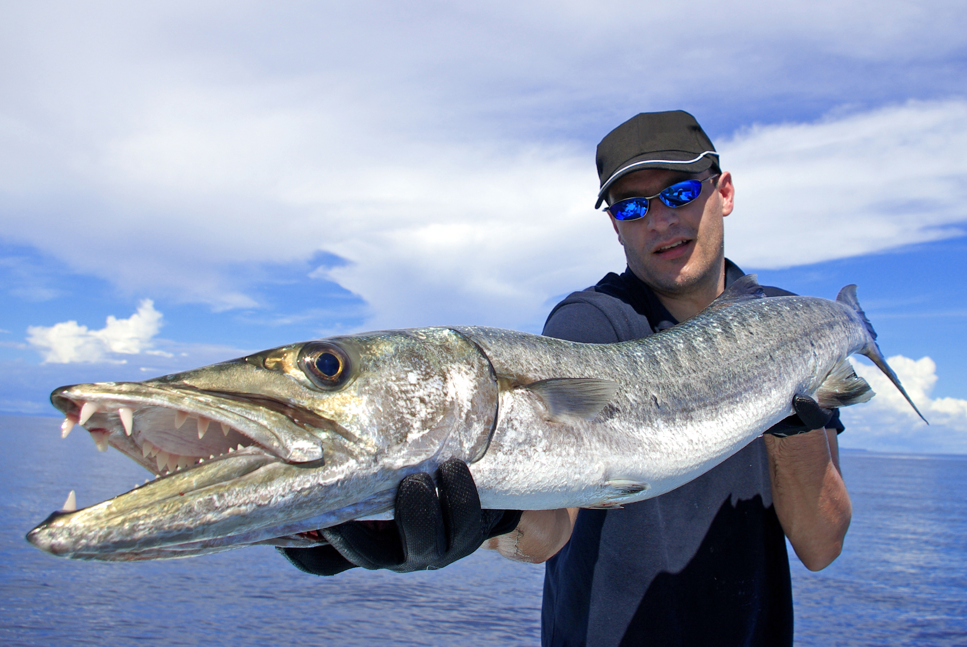 Photo of a marina, a prime barracuda fishing spot