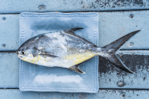 Scenic view of a popular pompano fishing location in Florida