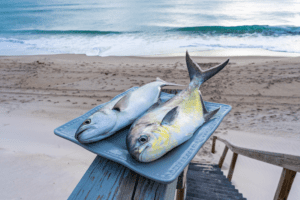 Various fishing rods and reels for pompano fishing