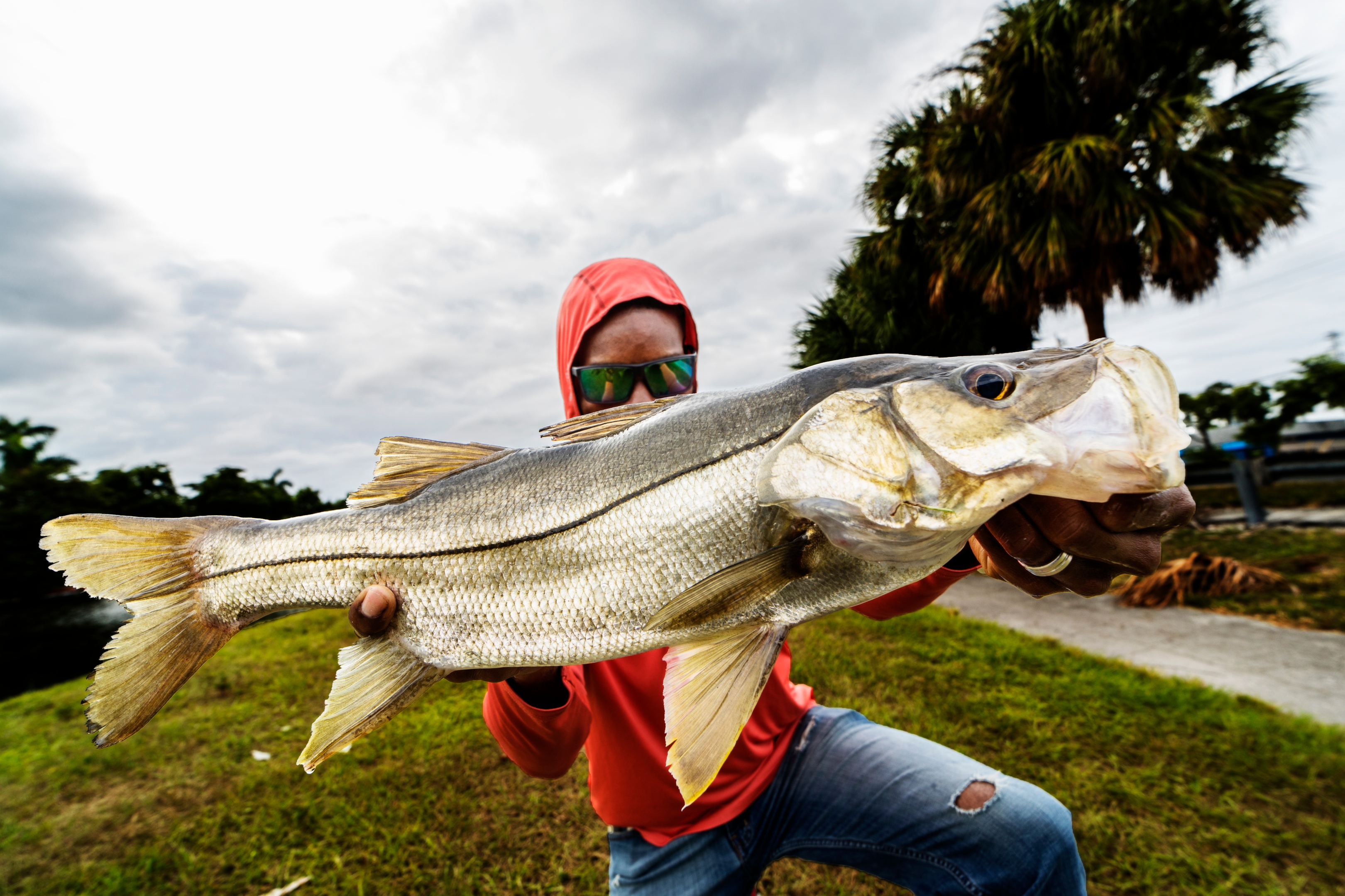 Fishing gear for targeting snook