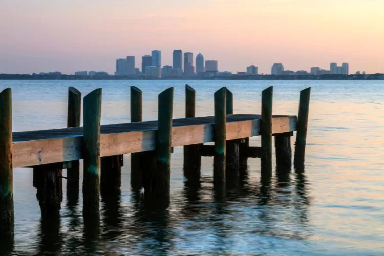 Tampa Skyline Across the Bay